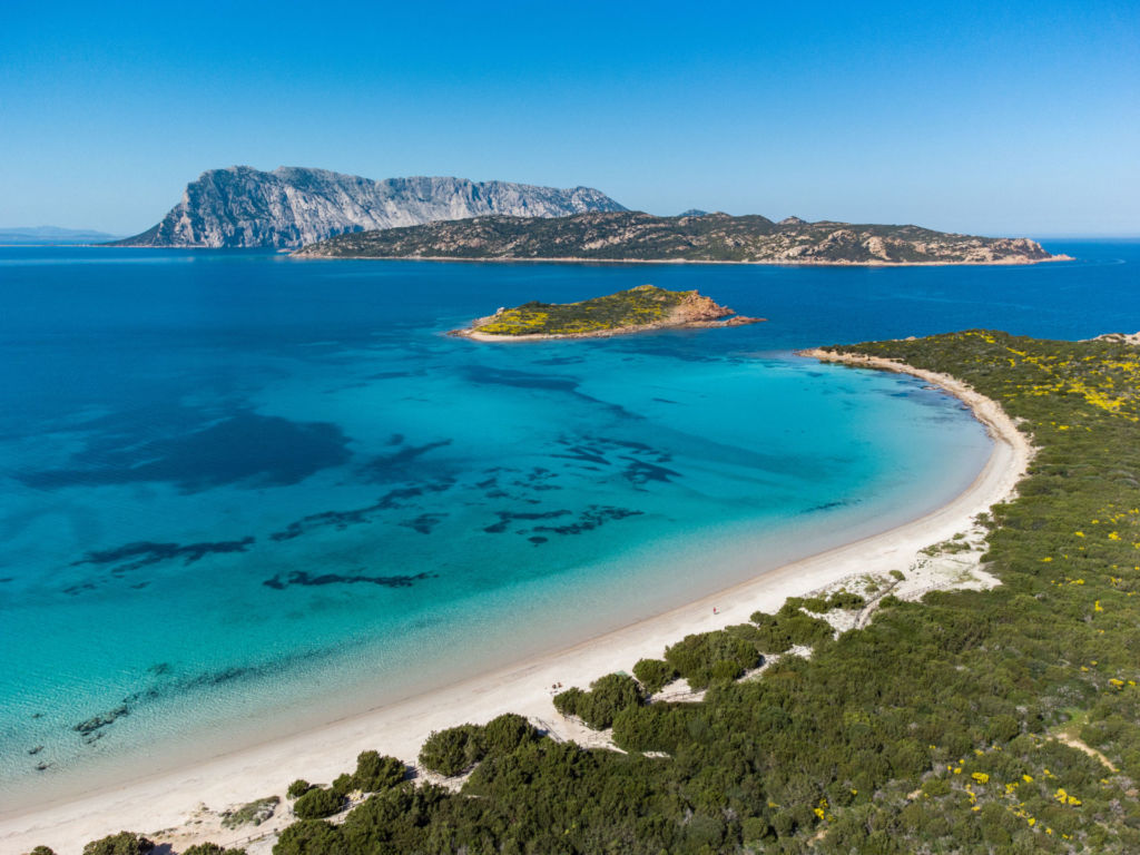 Capo Coda Cavallo